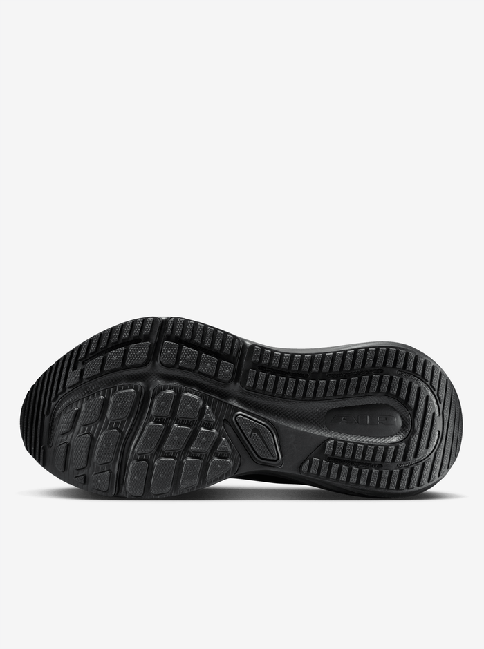 Air Winflo 12 Womens