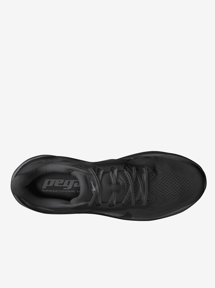Air Zoom Pegasus 42 Mens