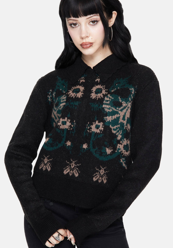 Aura Dragon Jacquard Collar Knit Sweater