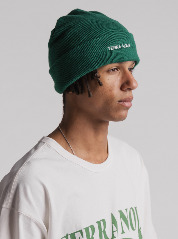 Beanie in Fern