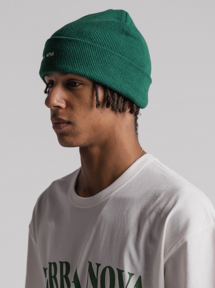 Beanie in Fern