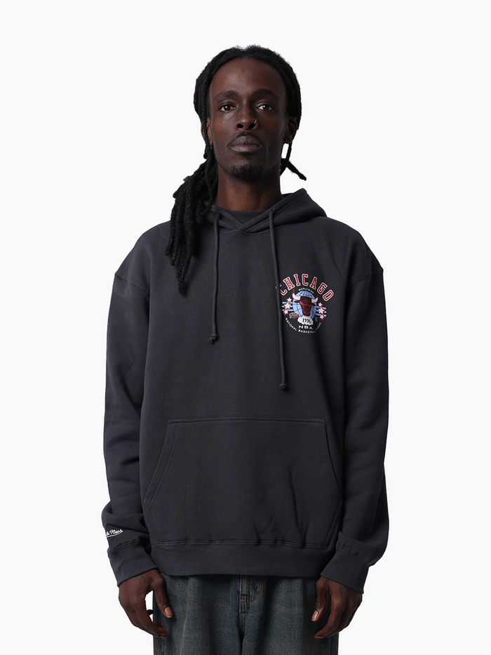 Chicago Bulls Worldwide Hoodie