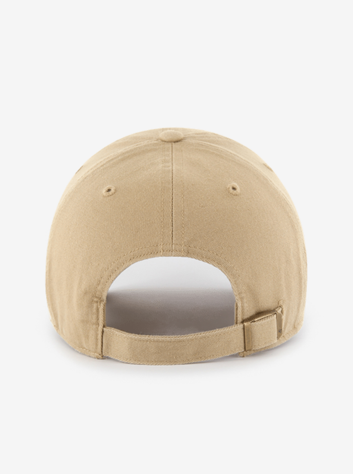 Chocolate Lab '47 Clean Up Cap