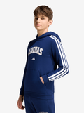 Collegiate Graphic Hoodie