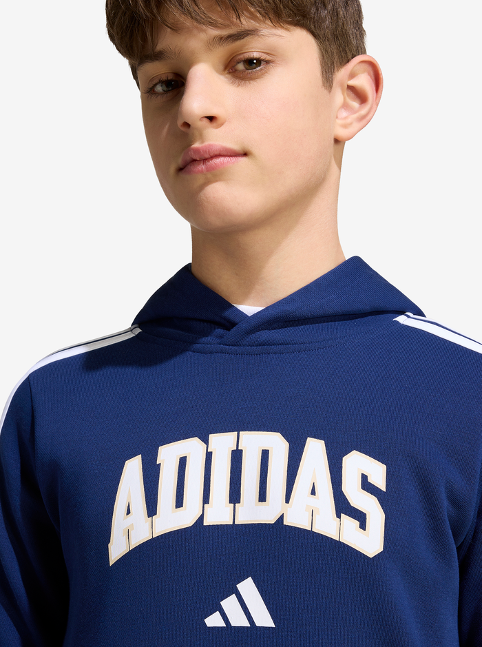 Collegiate Graphic Hoodie