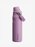 IceFlow Bottle with Fast Flow Lid 24oz