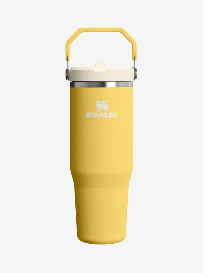 IceFlow Flip Straw Tumbler 2.0 30oz