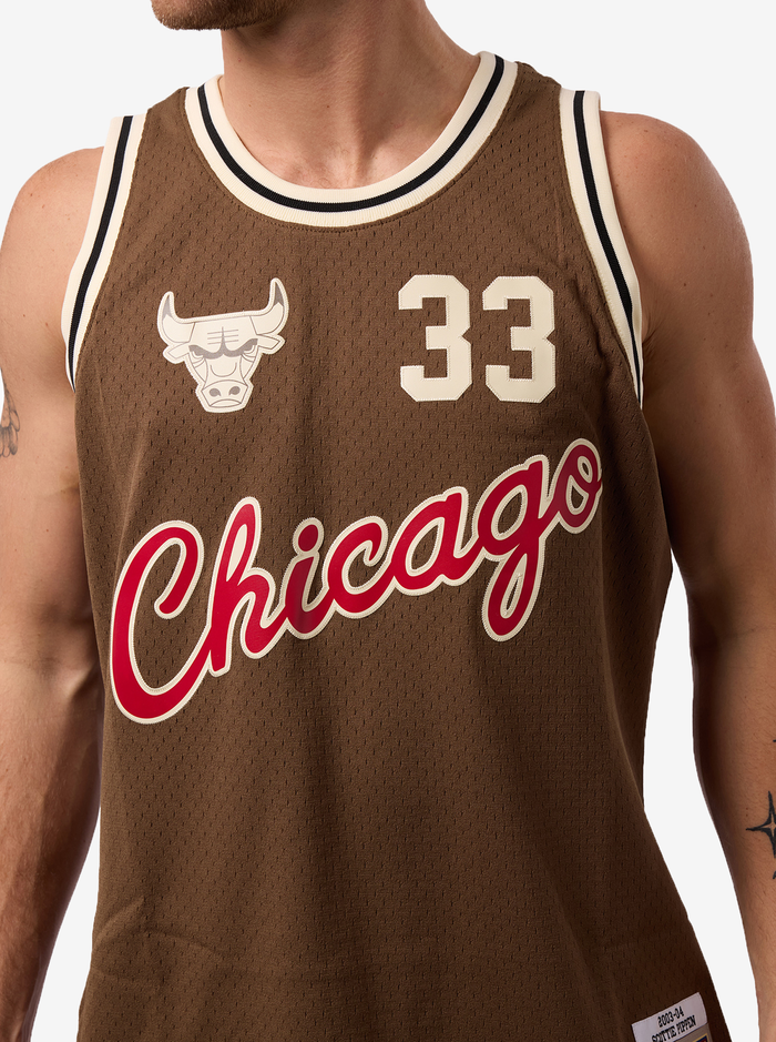 Scottie Pippen Swingman Jersey